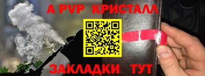 ECSTASY Обь