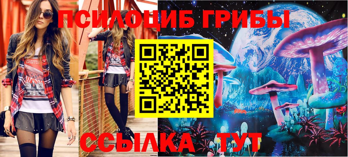 Псилоцибиновые грибы GOLDEN TEACHER Углич